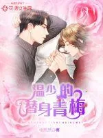 《温少的替身青梅》小说封面