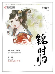 《锦时归》小说封面
