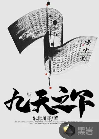 《九天之下》小说封面