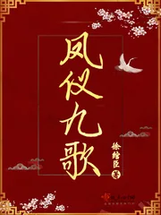 《凤仪九歌》小说封面