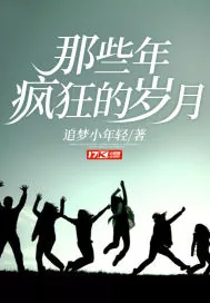 《那些年疯狂的岁月》小说封面
