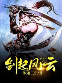 《剑起风云》小说封面