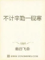 《不计辛勤一砚寒》小说封面
