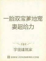 《一胎双宝爹地宠妻超给力》小说封面