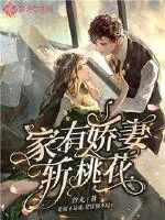 《家有娇妻斩桃花》小说封面