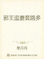 《邪王追妻套路多》小说封面