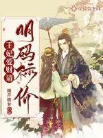 《王妃爱财请明码标价》小说封面