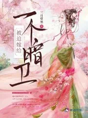《被迫嫁给一个暗卫》小说封面