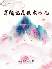 《穿越也是技术活儿》小说封面