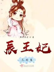 《辰王妃不好惹》小说封面
