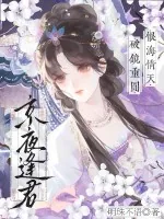 《京夜逢君》小说封面