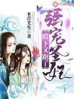 《强宠圣妃：殿下又跑了》小说封面