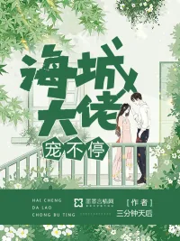 《海城大佬宠不停》小说封面