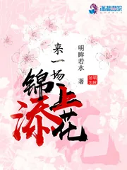 《来一场锦上添花》小说封面