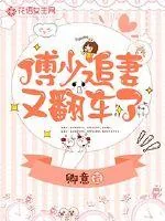《傅少追妻又翻车了》小说封面