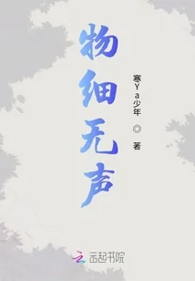 《物细无声》小说封面