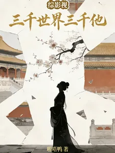 《综影视：三千世界三千他》小说封面