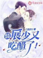 《重生试爱：展少又吃醋了》小说封面