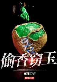 《偷香窃玉》小说封面