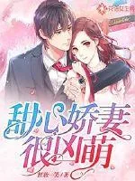 《甜心娇妻很凶萌》小说封面
