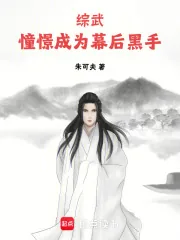 《综武:憧憬成为幕后黑手》小说封面