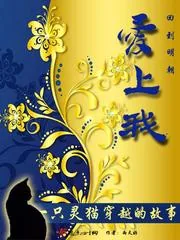 《回到明朝爱上我》小说封面
