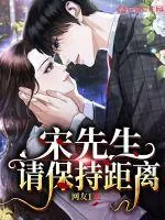 《宋先生,请保持距离》小说封面