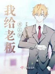 《我给老板发工资》小说封面