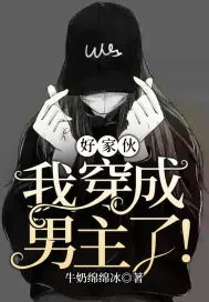 《好家伙，我穿成男主了！》小说封面