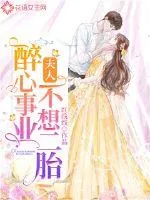 《夫人醉心事业不想二胎》小说封面