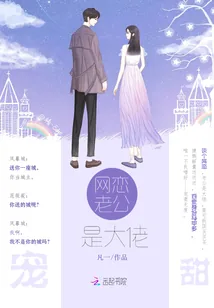 《网恋老公是大佬》小说封面