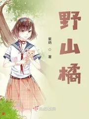 《野山橘》小说封面