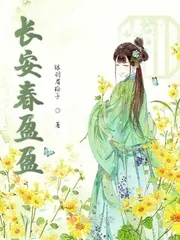 《长安春盈盈》小说封面