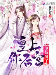《皇上你后宫该裁员了》小说封面