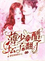 《薄少的醋坛子又翻了》小说封面