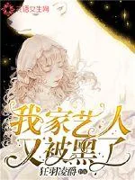 《我家艺人又被黑了》小说封面