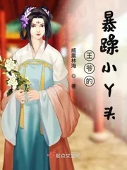 《王爷的暴躁小丫头》小说封面