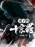 《妻子的十宗罪》小说封面