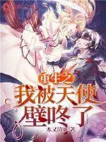 《重生之我被天使壁咚了》小说封面