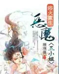 《浴火重生：恶魔五小姐》小说封面