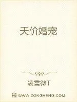 《天价婚宠》小说封面