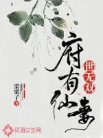 《府有仙妻世无双》小说封面