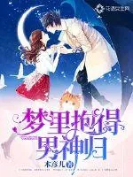 《梦里抱得男神归》小说封面