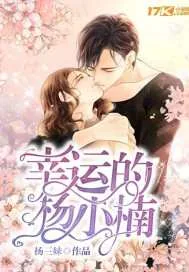 《幸运的杨小楠》小说封面