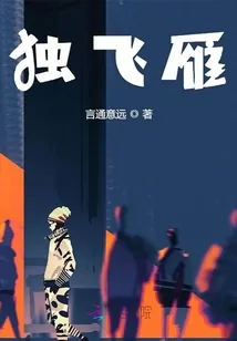 《独飞雁》小说封面