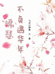 《锦瑟不负遇华年》小说封面