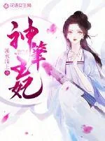 《神笔王妃》小说封面