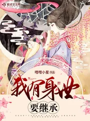 《我有身世要继承》小说封面