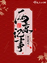 《两京记事》小说封面