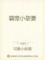 《霸宠小甜妻》小说封面